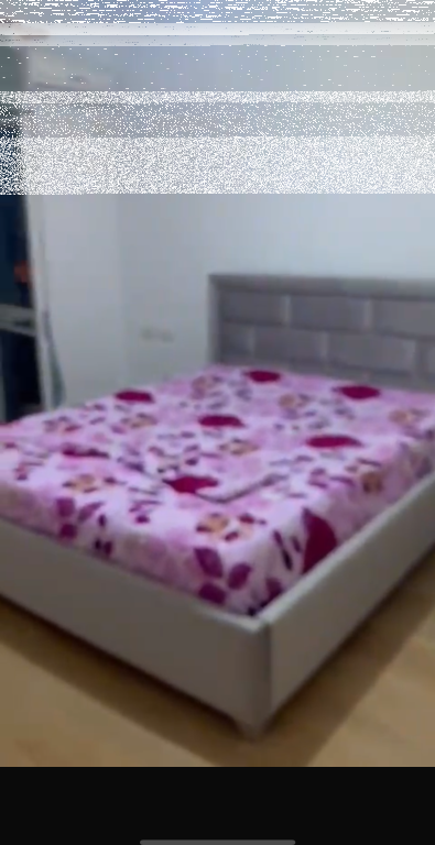Apartament 2+1,Zogu i Zi!