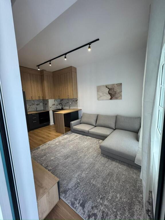 APARTMENT FOR RENT 1+1 ALI DEMI 550 EURO