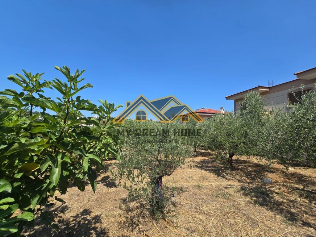 TERRENO IN VENDITA A SHKALLNUR