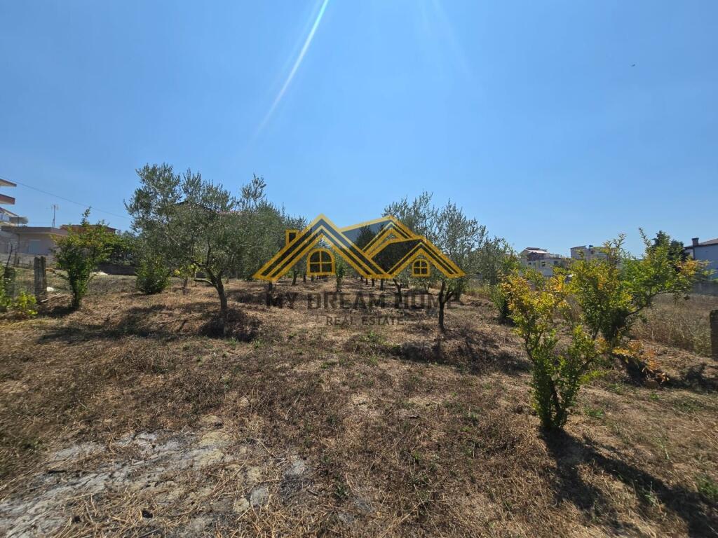 TERRENO IN VENDITA A SHKALLNUR