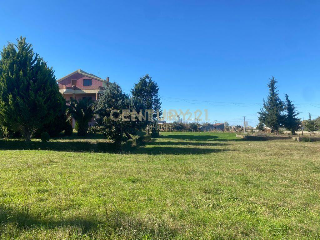VILLA IN VENDITA NEL GOLFO DI LALZIA!500000