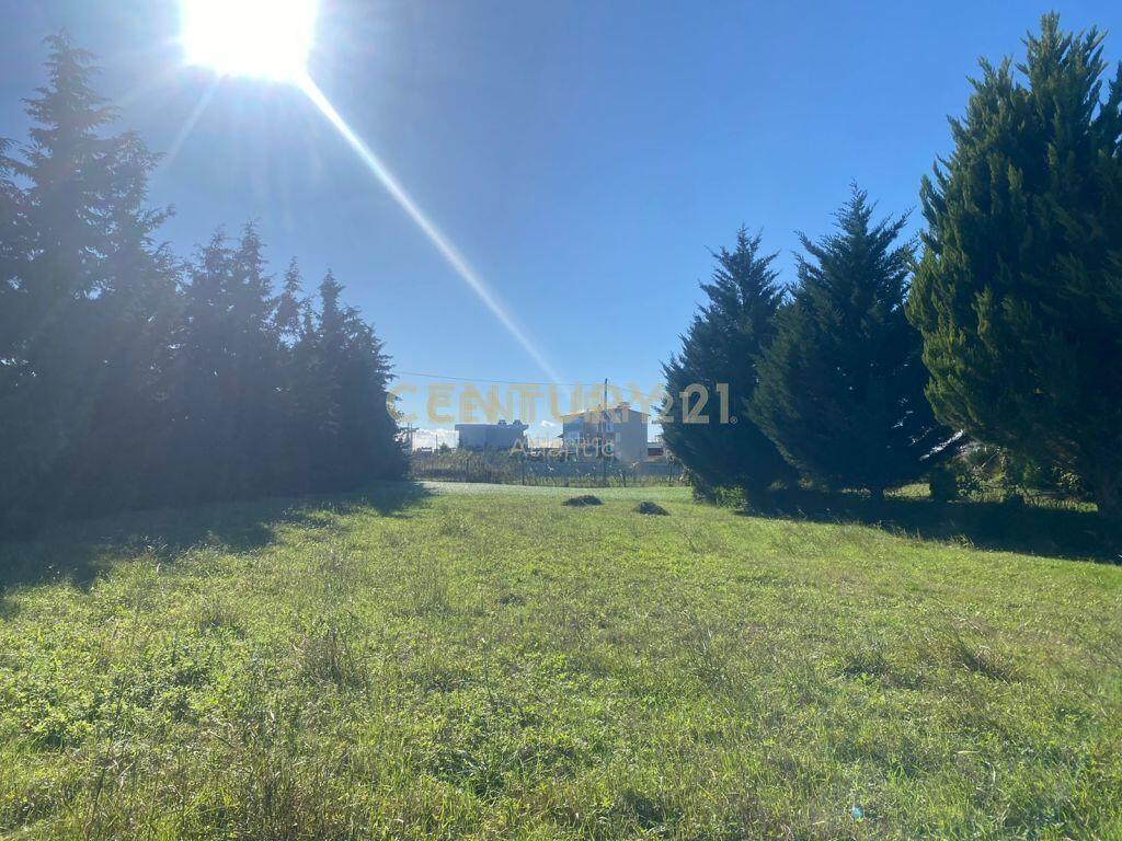 VILLA IN VENDITA NEL GOLFO DI LALZIA!500000