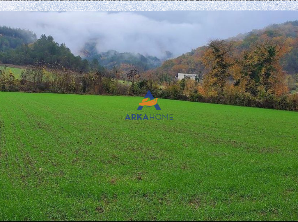 SHITET TOKE ARE SIP 3500M2 "PETRELE" 90€/M2