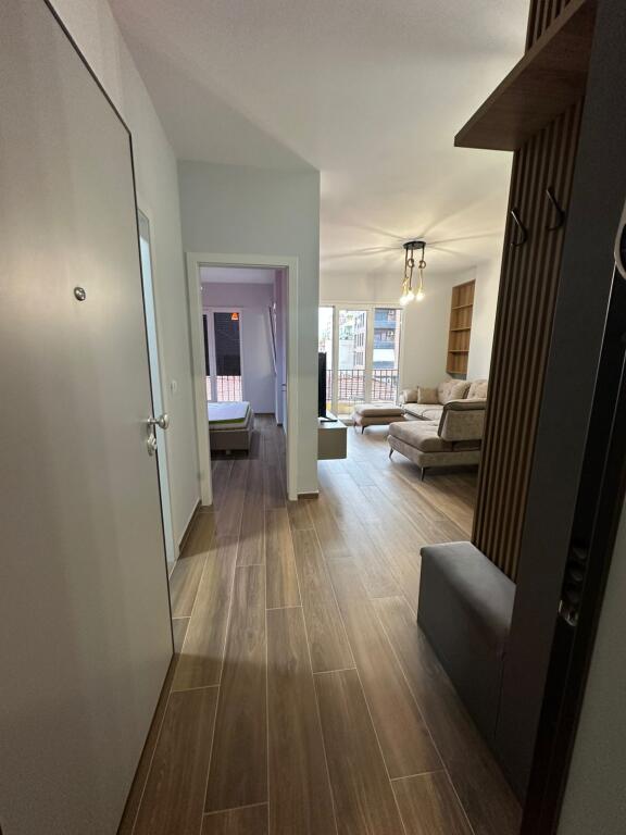 1+1,luxury furnished,near the red school.price 650 thousand lek