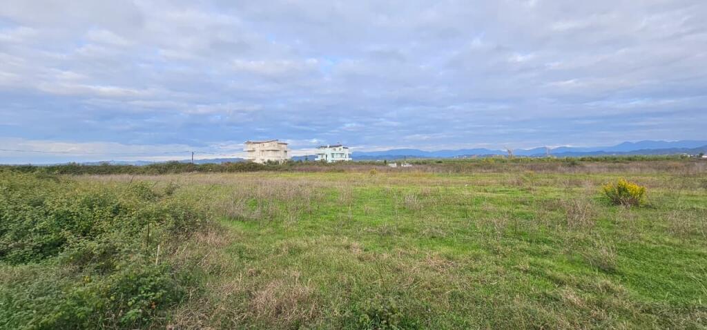 🏡 LAND FOR SALE 6000 m² – SUKTH, DURRËS
