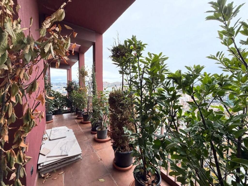 𝐑𝐀𝐒𝐇 𝐆𝐀𝐑𝐃𝐄𝐍 𝐁𝐔𝐈𝐋𝐃𝐈𝐍𝐆💥  • 🏠Spazio ufficio in affitto.  📍Garden Building /21-Dhjetori.  📐160 m2.  💶200.000 ALL/mese. ——————————————— SPAZIO UFFICIO IN AFFITTO PRESSO GARDEN BUILDING RESIDENCE IN 21-DHJETORI
