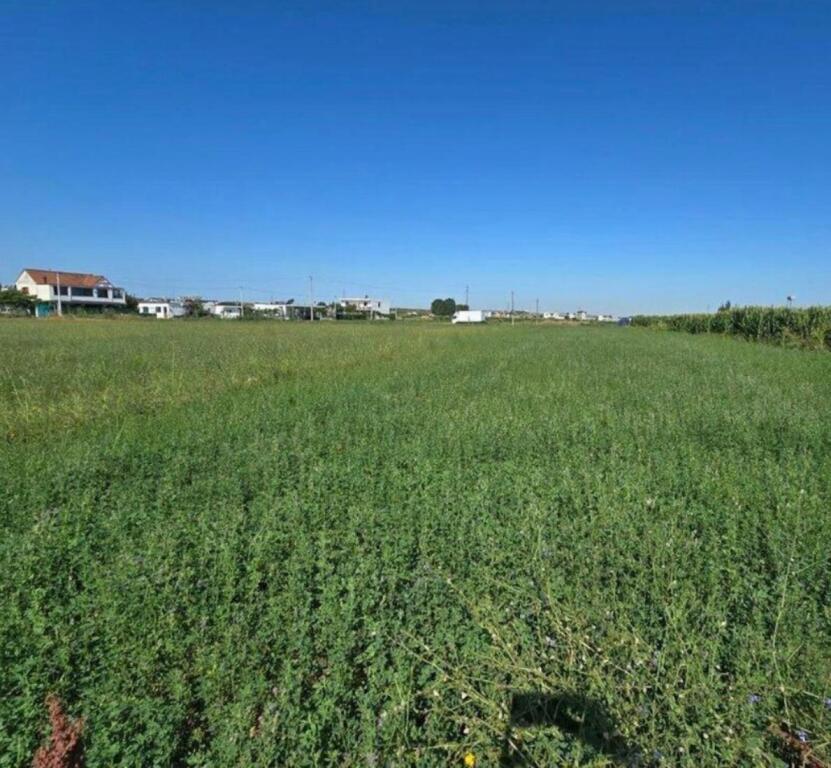 Terreno+Costruzione in vendita, Domje
