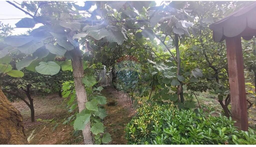 Shtëpi private - Për Shitje - UBT, Kamëz(ID: 530221066-52)