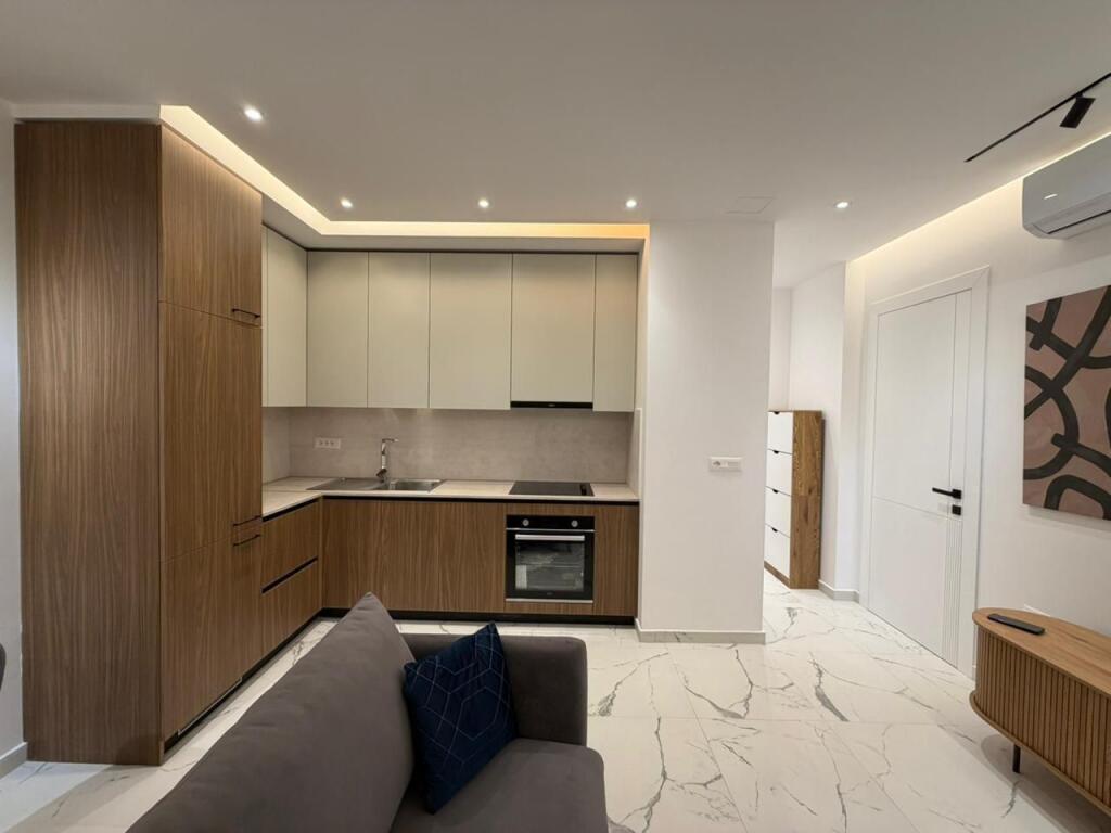 APARTMENT FOR RENT 1+1 ZOGU I ZI 73,000 LEKE