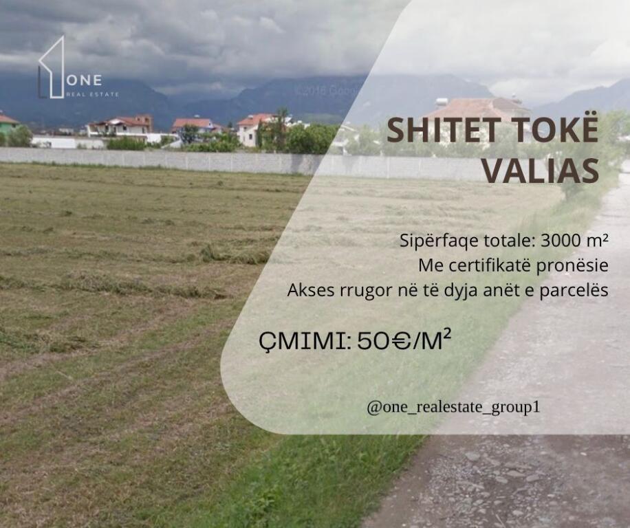 Shitet toke Valias