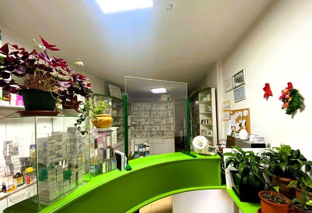 OCCASION!!! VASIL SHANTO NEAR KESH WE SELL BUSINESS UNIT