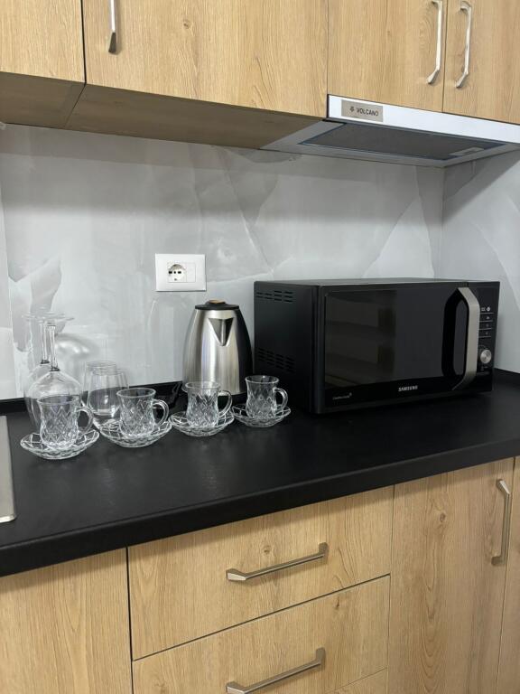 Apartament me qera 1+1+parking Tregu elektrik