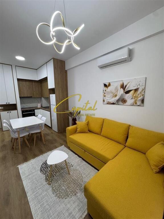 APARTMENT FOR RENT 1+1 ALI DEMI 450 EURO