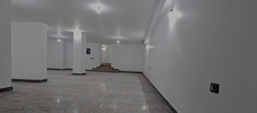 Shop for rent, Blloku!