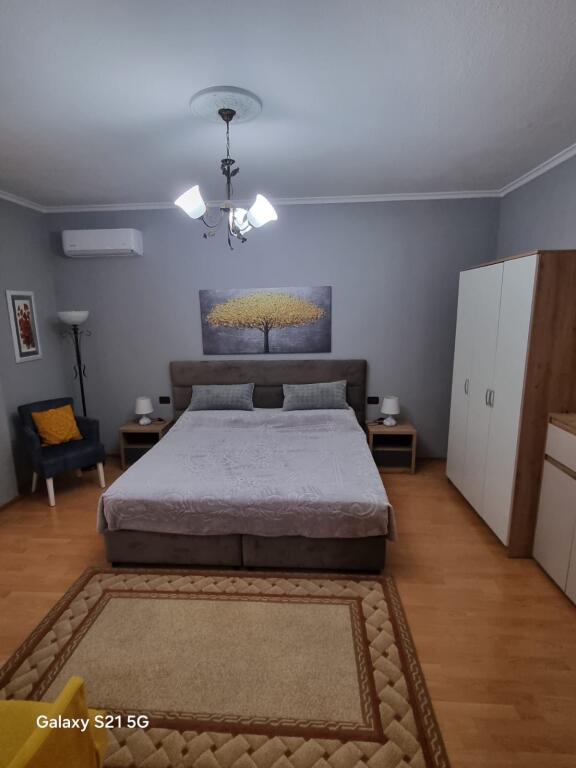 Apartment 1+1, Petro Nini!