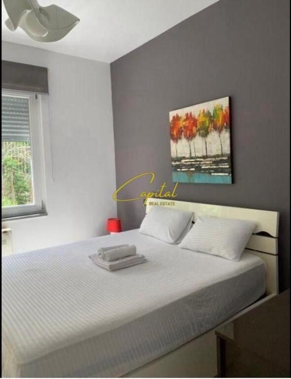 APARTMENT FOR RENT 1+1 ZOOLOGICAL GARDEN 600 EURO