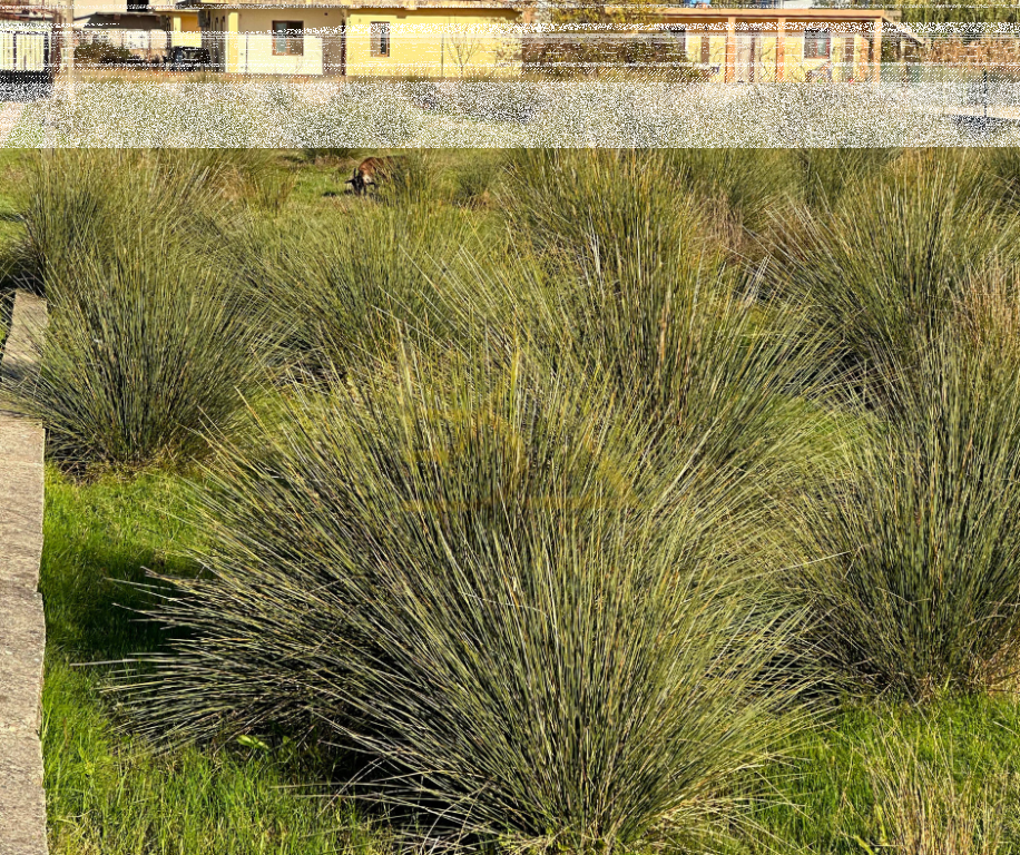 Terreno in Vendita – Shëngjin, Lezhë