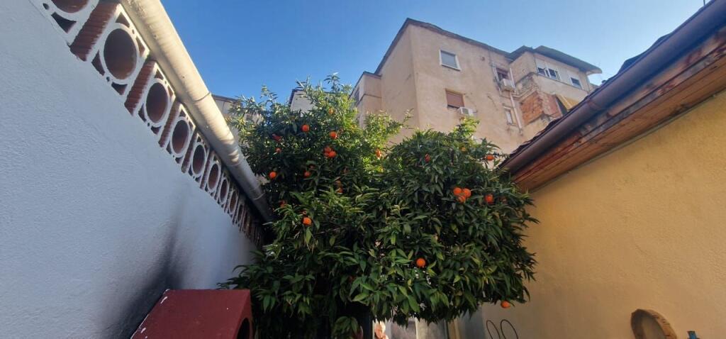 Casa privata in vendita nel centro di Tirana