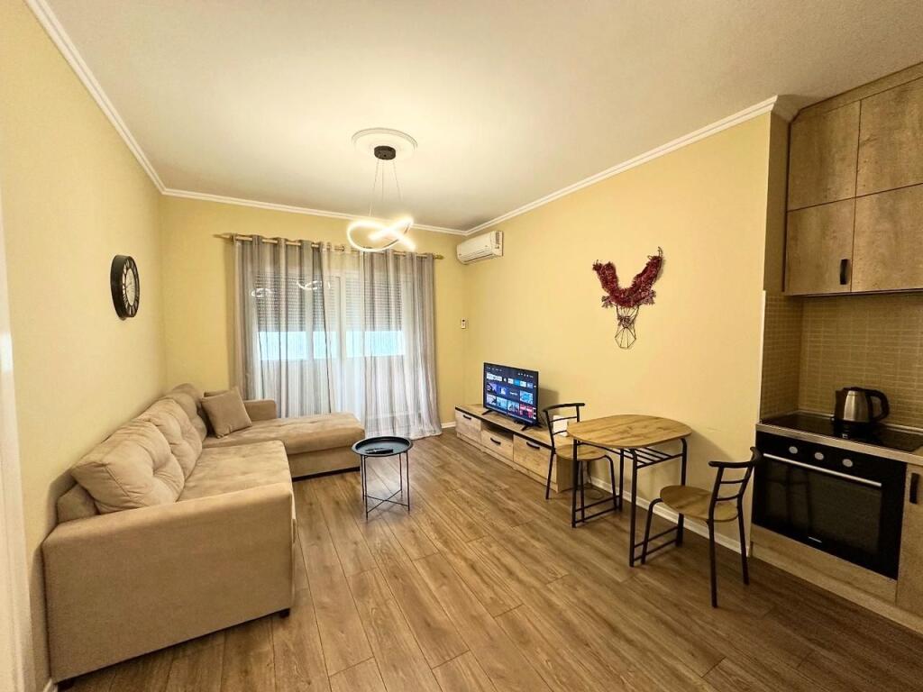 Apartment 1+1 for rent near Toptani Center.