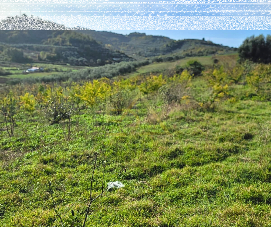 Land for Sale – Shkallnur, Durrës