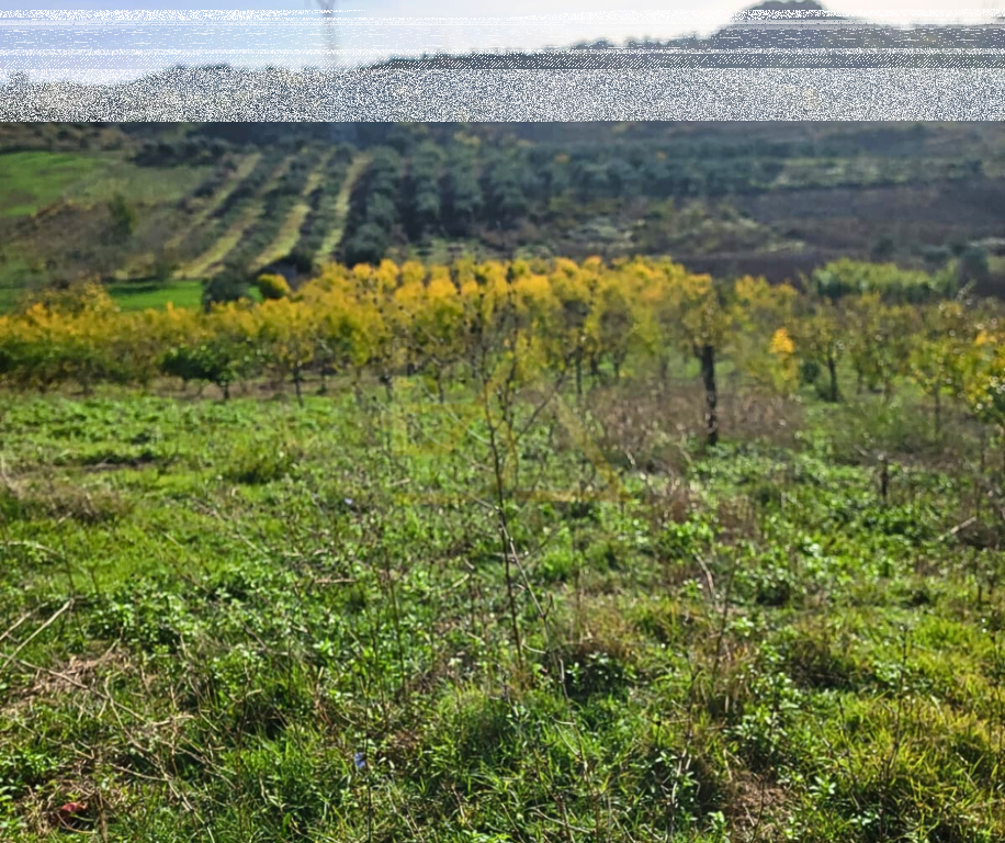 Land for Sale – Shkallnur, Durrës