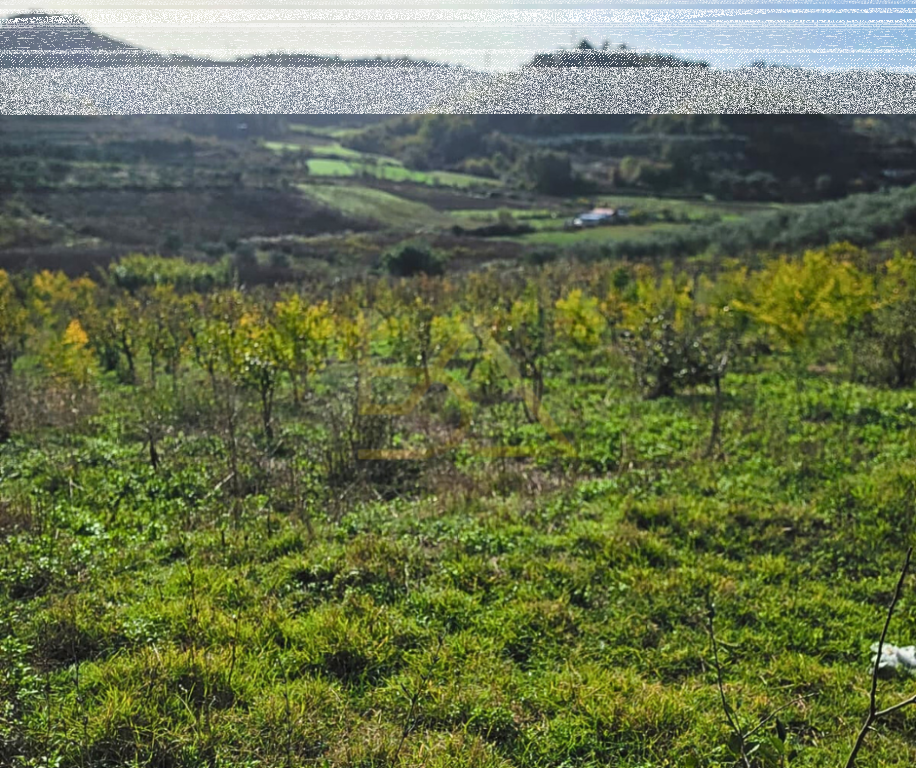 Land for Sale – Shkallnur, Durrës