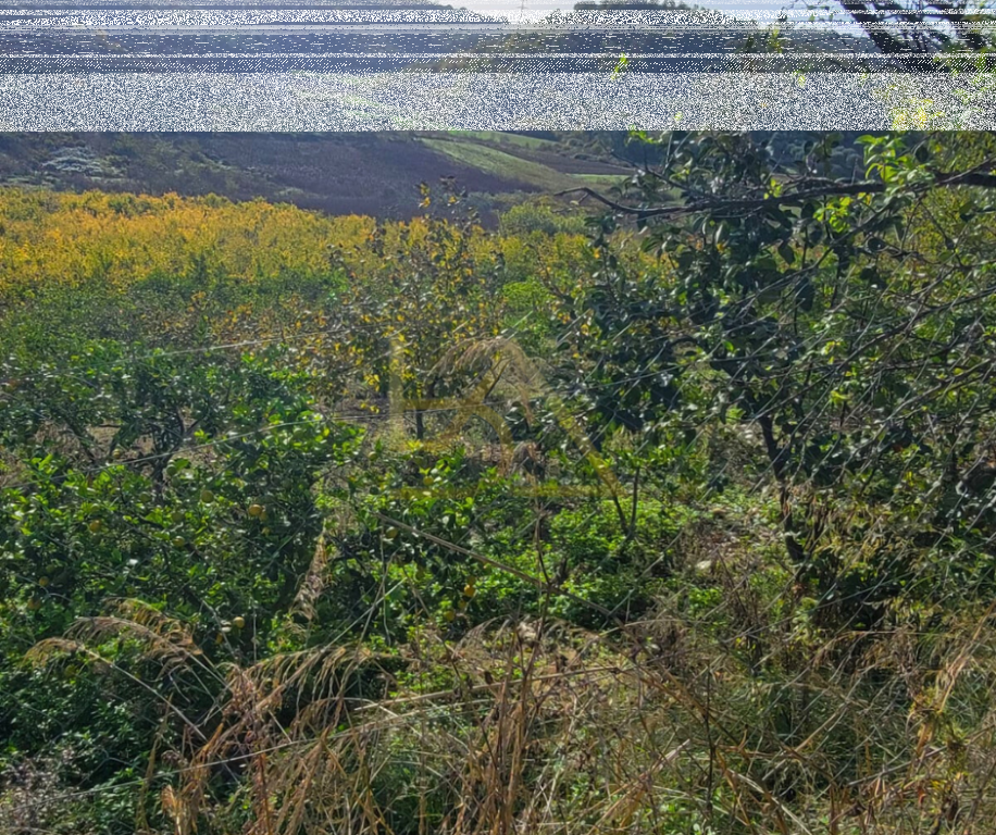 Land for Sale – Shkallnur, Durrës