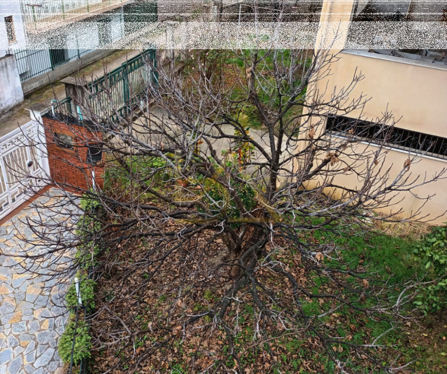 For sale – 4-Storey Villa, Shkozet, Tirana