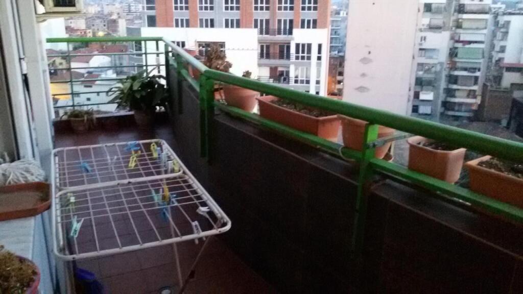 Apartment 2+1, Selvia!