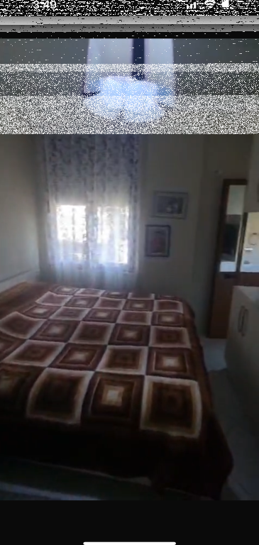 Apartment 2+1+2, Fresku!