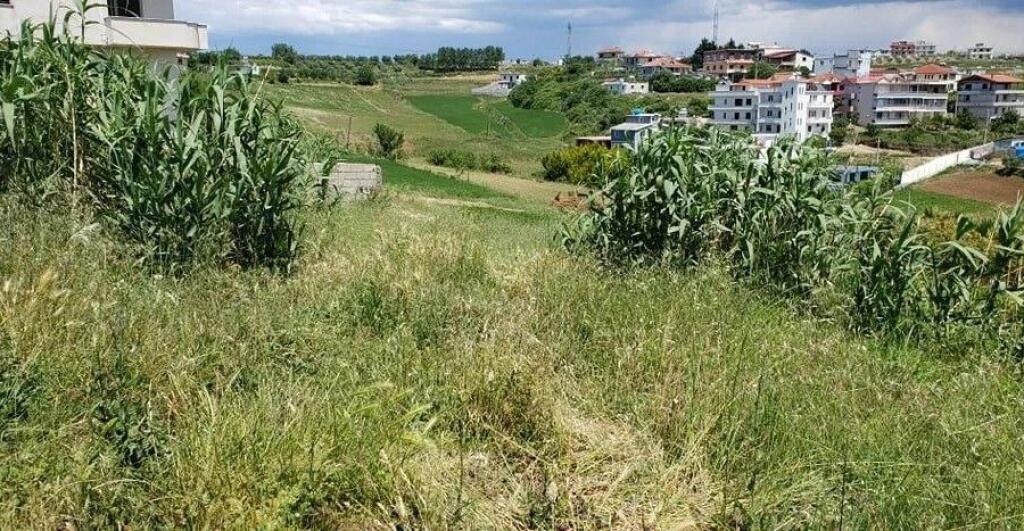 In vendita 6200 m2 di terreno, Arapaj, Durres