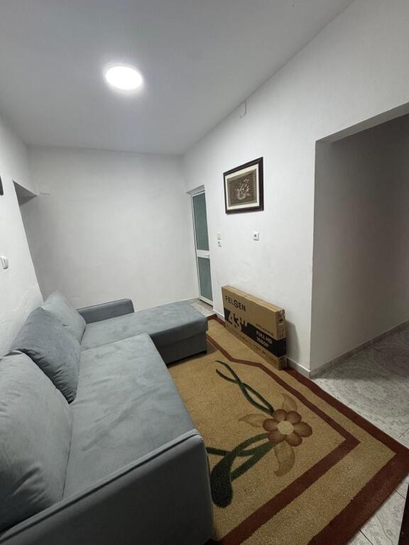 APARTMENT FOR RENT 1+1