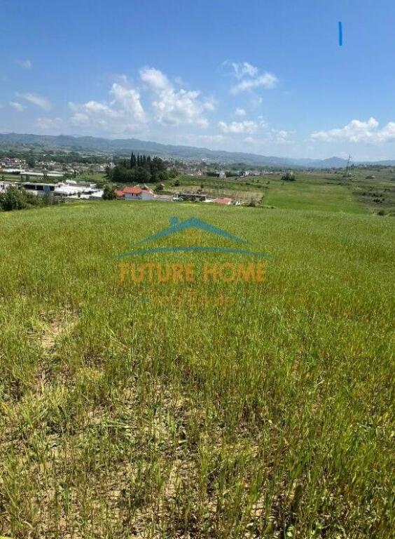 Shitet Toke, 8000 m2, prane Plepave, Durres