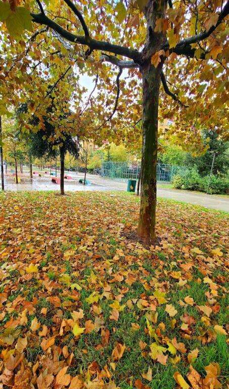 Apartment 2+1 and 2 Parking Spaces for Sale, Aviation Field