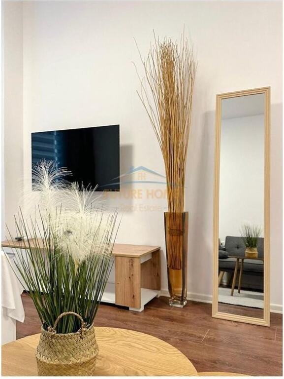 Rent, Apartment 1+1 &amp; Studios for Airbnb, Kika 2 Complex, Tirana