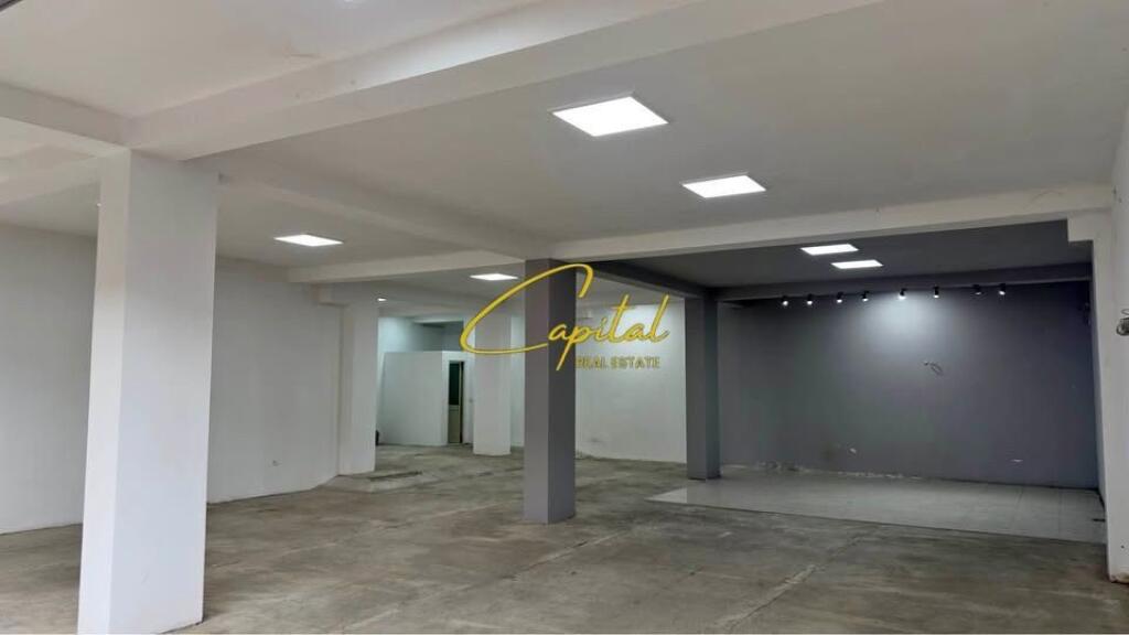AMBIENT BIZNESI ME QERA 200 M2 FRESKU 100.000 LEKE