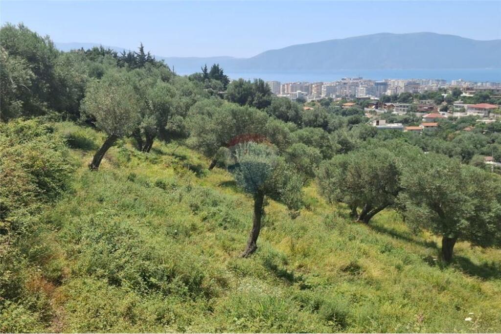 Agricultural Land for Sale – Kuzum Baba, Vlorë