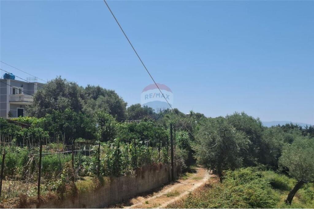 Agricultural Land for Sale – Kuzum Baba, Vlorë