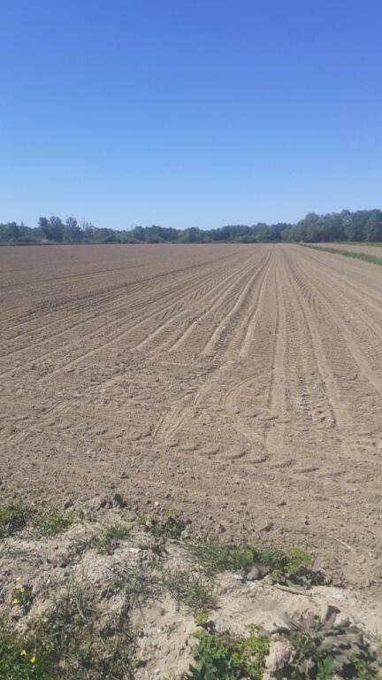 Rrogozhine, terreno agricolo in vendita, 3.000 m² (Vile Bashtove)