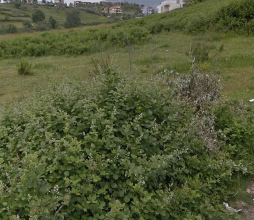 💥📌Terreno in Vendita – Ideale per Complessi di Ville 🔥👇