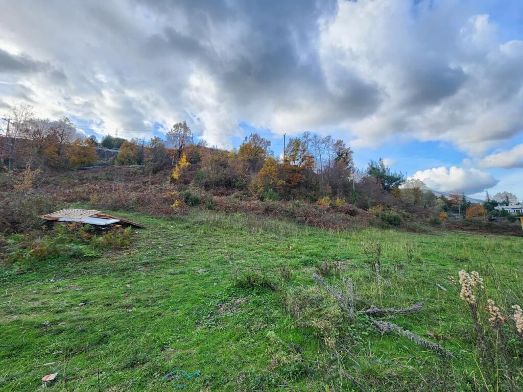 🌍 IN VENDITA: Terreno Agricolo 604 m² All'interno del Villaggio con Vista sulla Foresta &amp; Fiume📍Nel Villaggio IBË  39.200€ 🏕