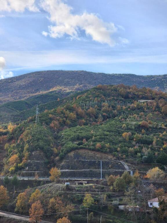 IN VENDITA: Terreno Agricolo 5000 m² Con Vista sull'Autostrada Tirana Elbasan📍Nel Villaggio IBË  250.000€ 🏕