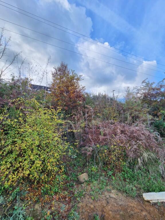 🌍 IN VENDITA: Terreno Agricolo 604 m² All'interno del Villaggio con Vista sulla Foresta &amp; Fiume📍Nel Villaggio IBË  39.200€ 🏕