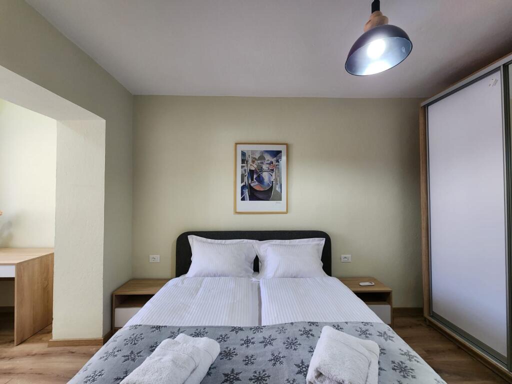 APARTMENT FOR RENT 1+1 CENTER 65,000 LEKE