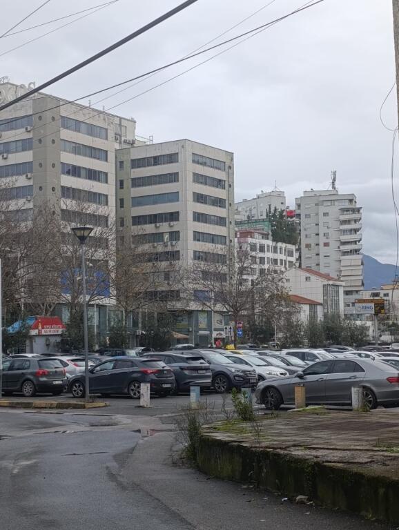 Apartament 2+1, Zogu i Zi!
