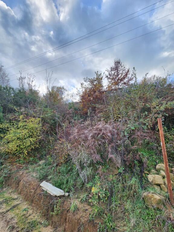 🌍 IN VENDITA: Terreno Agricolo 604 m² All'interno del Villaggio con Vista sulla Foresta &amp; Fiume📍Nel Villaggio IBË  39.200€ 🏕