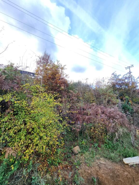 🌍 IN VENDITA: Terreno Agricolo 604 m² All'interno del Villaggio con Vista sulla Foresta &amp; Fiume📍Nel Villaggio IBË  39.200€ 🏕