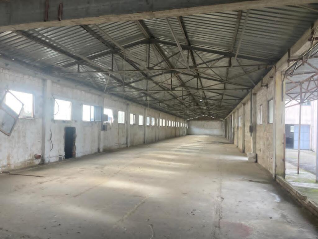 Magazzino/Deposito - In Affitto - Arbanë, Tirana