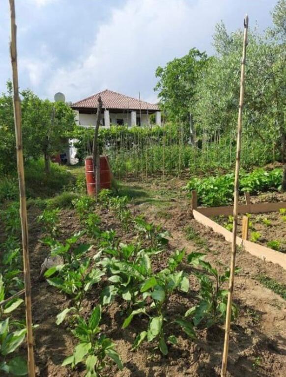 PRIVATE HOUSE + LAND FOR SALE IN SHTISH TUFINE