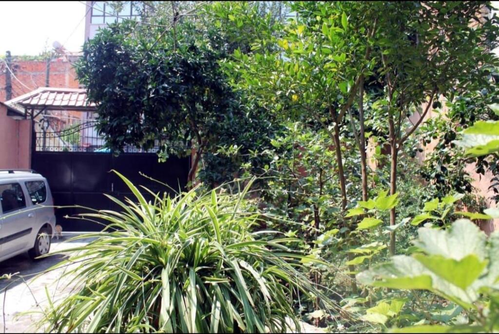 🏡 Monolocale 30m² in Affitto all'inizio di Via Dibra!